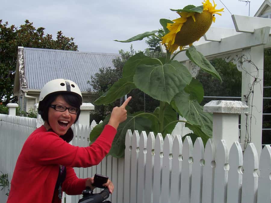 Auckland: Devonport Village Segway Tour - Key points to know before you book