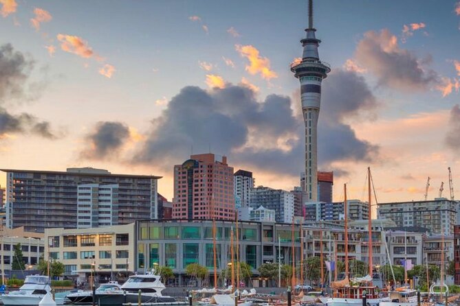 Auckland Downtown Hotel Transfers to/from Cruise Ship in Minivan - What I would confirm before booking