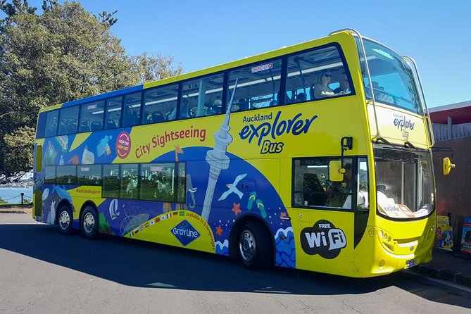 Auckland Explorer: Sightseeing Hop-on Hop-off Tour - Why this bus works well in Auckland