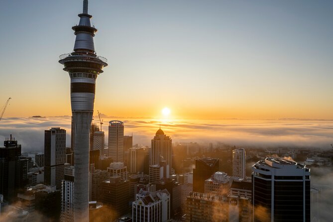 Auckland Full Day Attractions & Museums Tour - A city tour built around variety