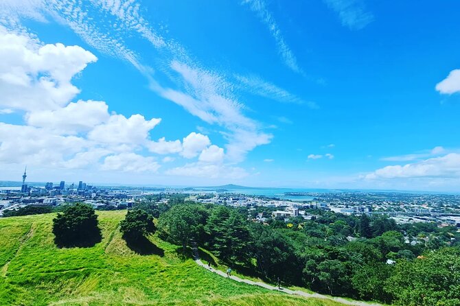 Auckland Full Day Attractions & Museums Tour - Auckland Museum: the day’s main cultural anchor