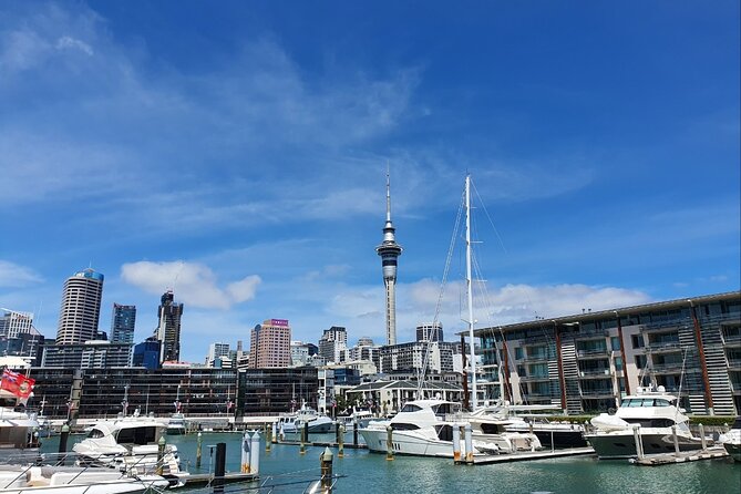 Auckland Full Day Attractions & Museums Tour - Auckland Art Gallery Toi o Tāmaki: a serious final museum visit