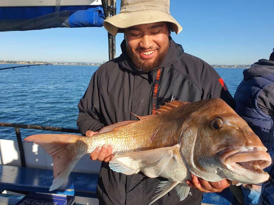 Auckland: Full-Day Fishing Charter (7 am - 4 pm) - The Important Cost of Rods, Bait, and Tackle