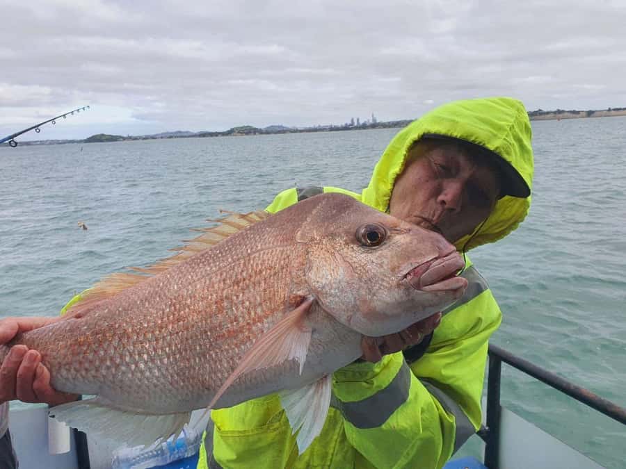Auckland: Full-Day Fishing Charter (7 am - 4 pm) - Coastal Views During the Quiet Spells