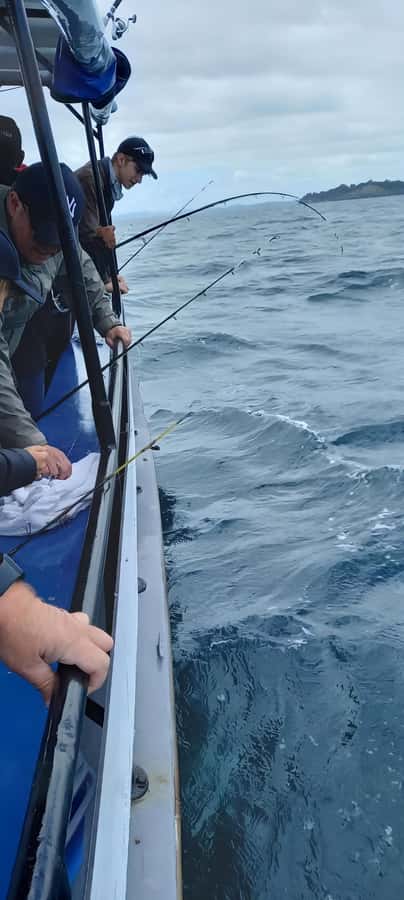 Auckland: Full-Day Fishing Charter (7 am - 4 pm) - The Crew and Level of Support