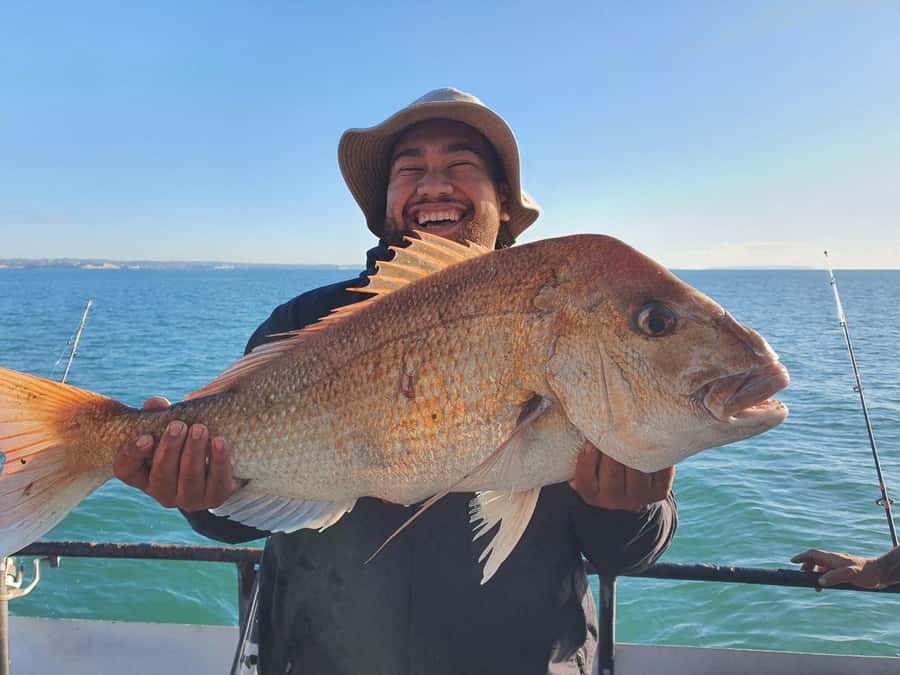 Auckland: Full-Day Fishing Charter (7 am - 4 pm) - What You Can Catch Near Auckland