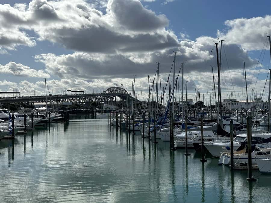 Auckland: GoGuided Auckland City Tour - The audio guide and the human guide