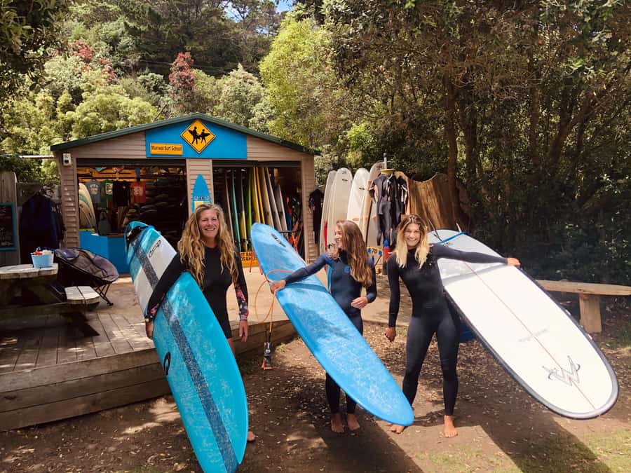 Auckland: Group Surfing Lesson with Muriwai Surf School - Reading the waves and learning water safety