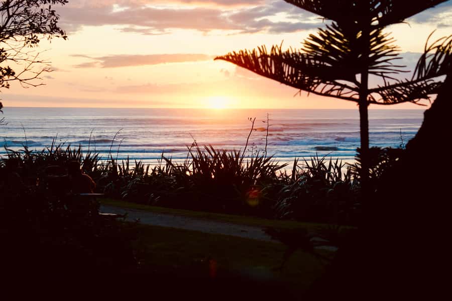 Auckland: Group Surfing Lesson with Muriwai Surf School - Is $41 good value?