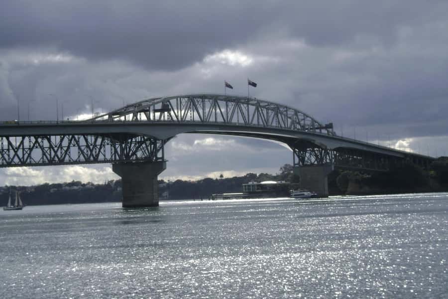 Auckland: Guided Small Group City Discovery Tour - A quick Auckland orientation in three hours