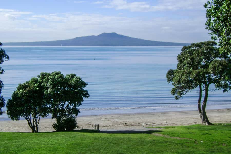 Auckland: Guided Small Group City Discovery Tour - Across the Harbour Bridge to the North Shore