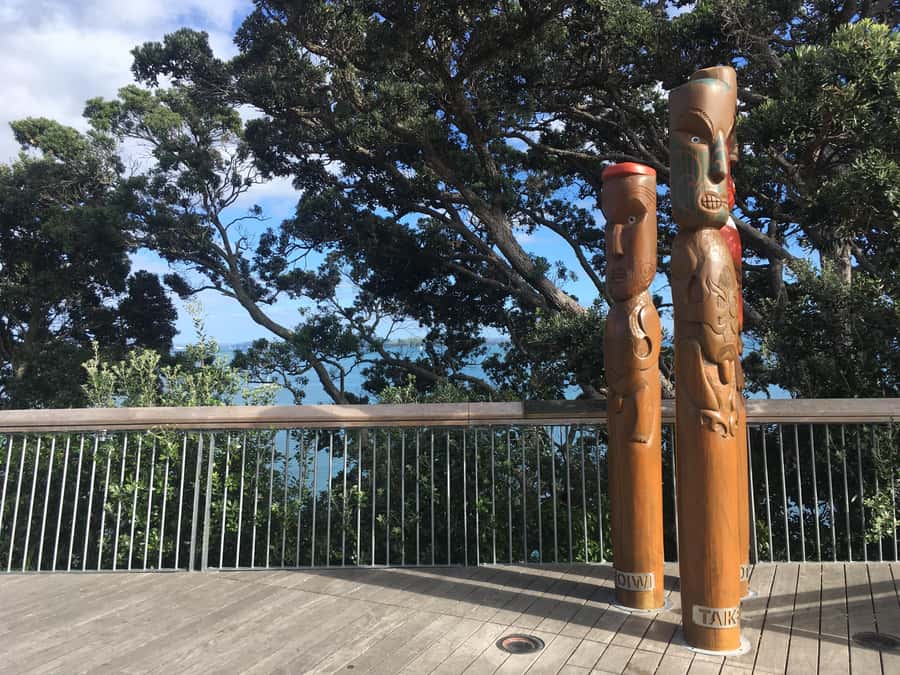Auckland: Half-Day Auckland Volcanoes Tour - Key points to know before you book