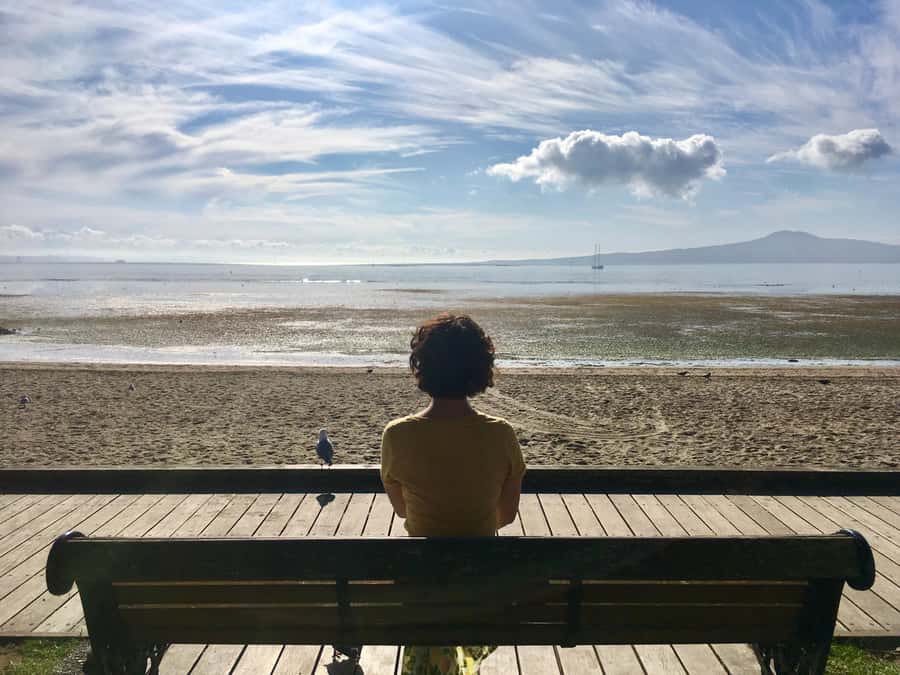 Auckland: Half-Day Auckland Volcanoes Tour - An 8am start from Queens Wharf