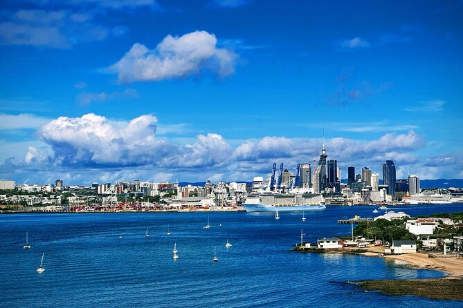 Auckland Half Day City Tour - Heart of Auckland - Key points to know before booking