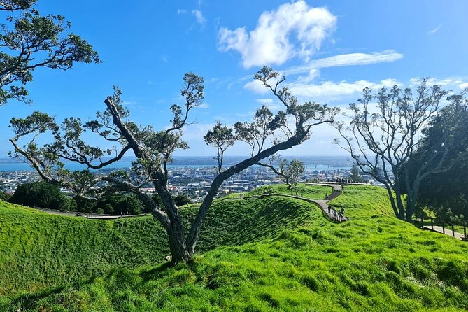 Auckland Half Day City Tour - Heart of Auckland - What $99.29 buys you