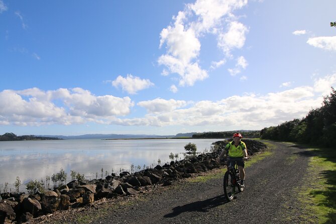 Auckland Half Day E-Bike Excursion - Why an e-bike is a smart way to see Auckland