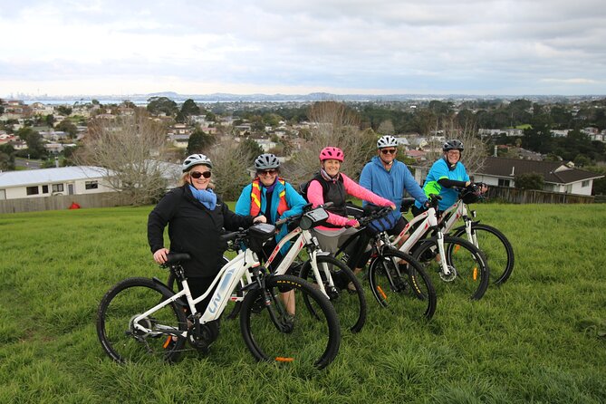 Auckland Half Day E-Bike Excursion - Te Atatu Peninsula, city views, and coffee