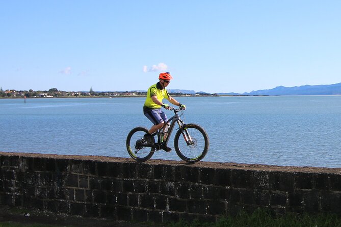 Auckland Half Day E-Bike Excursion - What the private format means