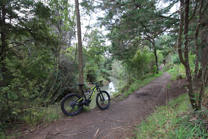 Auckland Half Day E-Bike Excursion - Comfort, equipment, and riding ability