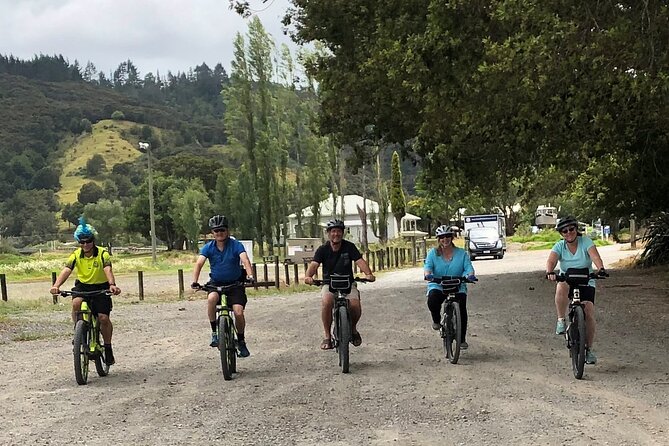Auckland Half Day E-Bike Excursion - Timing, demand, and cancellation terms