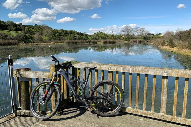 Auckland Half Day E-Bike Excursion - Starting at Fanshawe Street and the Harbour Bridge