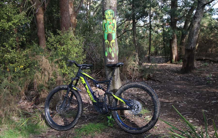 Auckland Half-Day Ebike Tour Excursion - Key points to know before you ride
