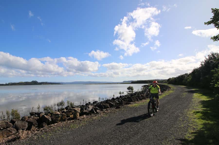 Auckland Half-Day Ebike Tour Excursion - Why this Auckland ebike route is different