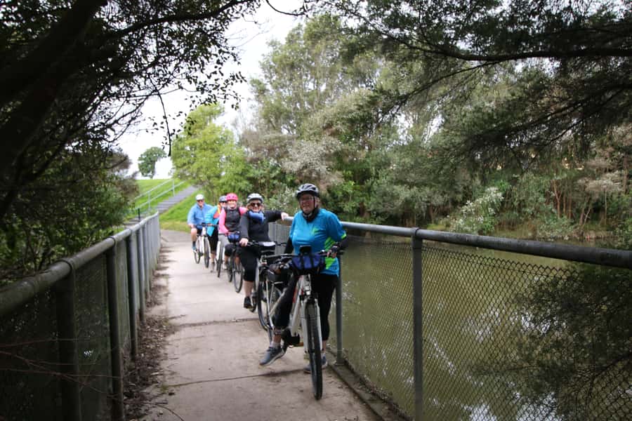 Auckland Half-Day Ebike Tour Excursion - Meola Reserve and views toward Te Atatu