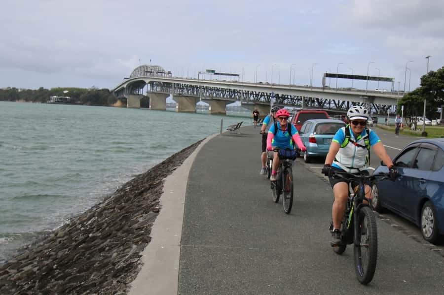 Auckland Half-Day Ebike Tour Excursion - Back pathways through Auckland’s western suburbs