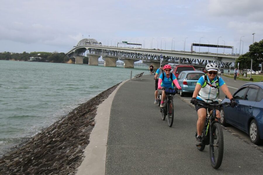 Auckland Half-Day Ebike Tour Excursion - Returning to Victoria Park with support along the way
