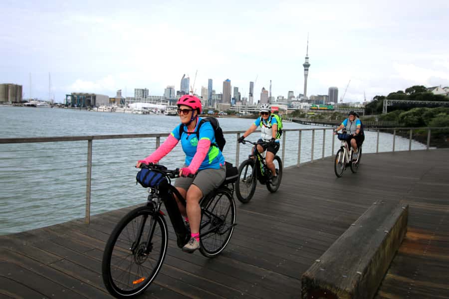 Auckland Half-Day Ebike Tour Excursion - Starting beside Victoria Park and the Harbour Bridge