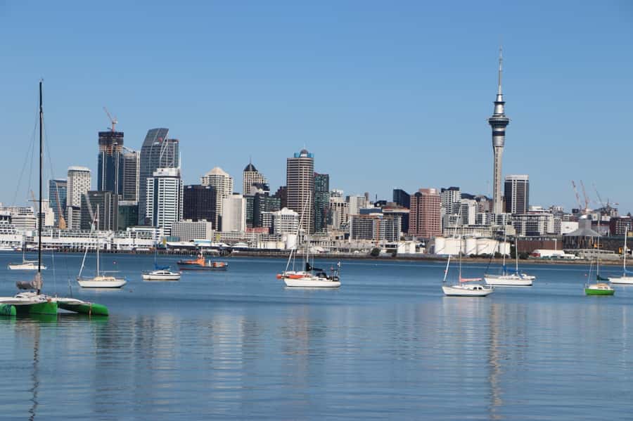 Auckland: Half-Day Scenic Sightseeing Tour - North Head and Auckland’s military past