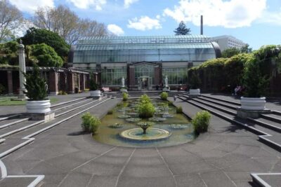 Half-Day Scenic Sightseeing Tour