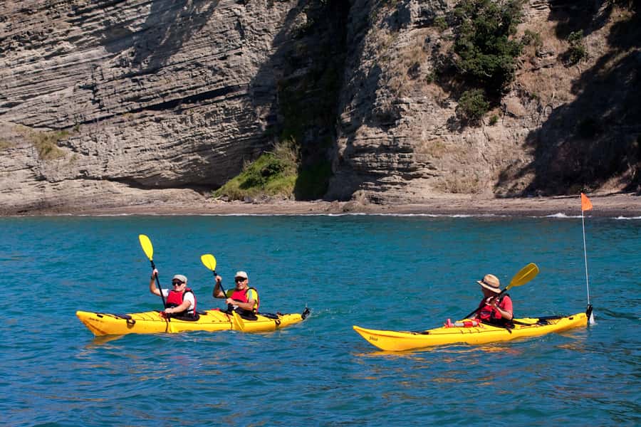 Auckland: Half-Day Sea Kayak Tour to Motukorea Island - Why Motukorea makes a fine Auckland half-day