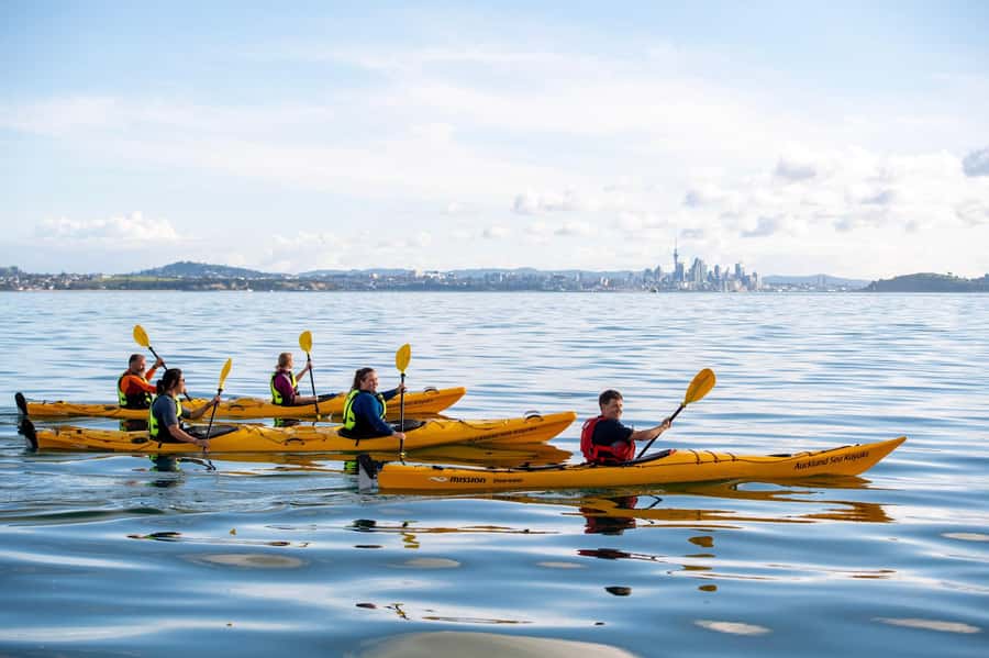 Auckland: Half-Day Sea Kayak Tour to Motukorea Island - The paddle across the Hauraki Gulf