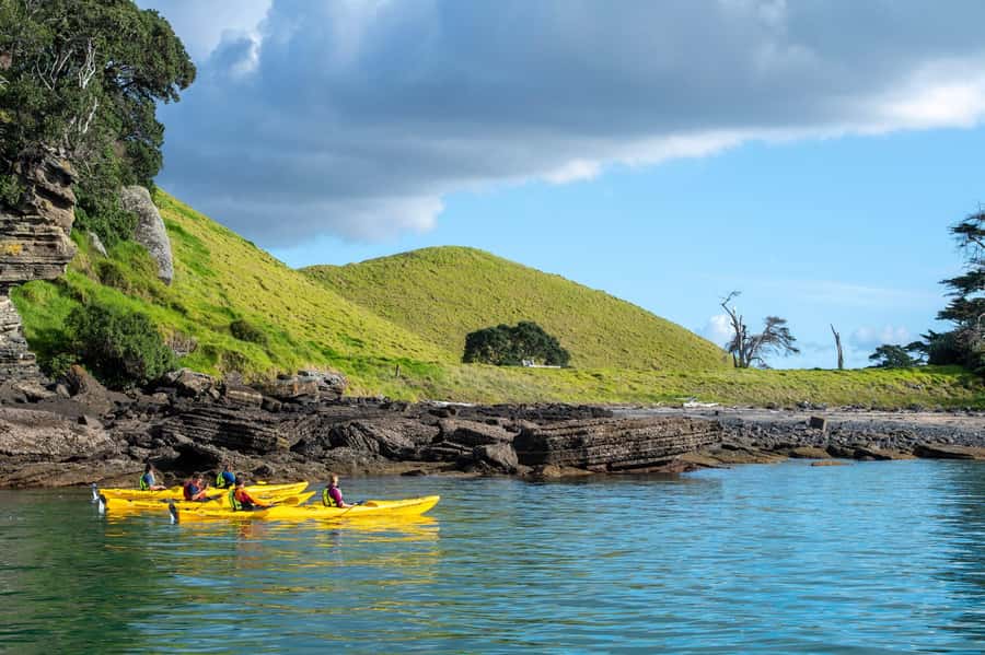 Auckland: Half-Day Sea Kayak Tour to Motukorea Island - Who should book this tour