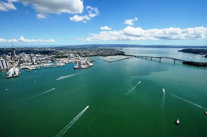 Auckland Harbour Cruise - Key Points Before You Book
