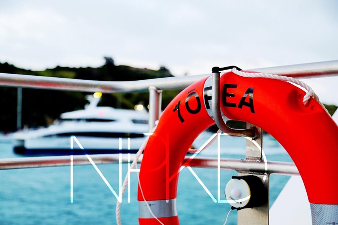 Auckland Harbour Cruise - Weather, Comfort, and Mobility