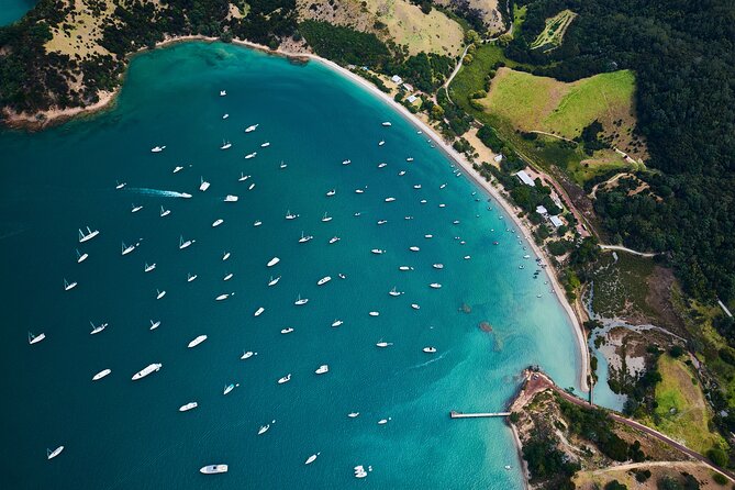 Auckland Harbour Sailboat Cruise Including Three Course Dinner - Who will enjoy this Auckland dinner cruise?