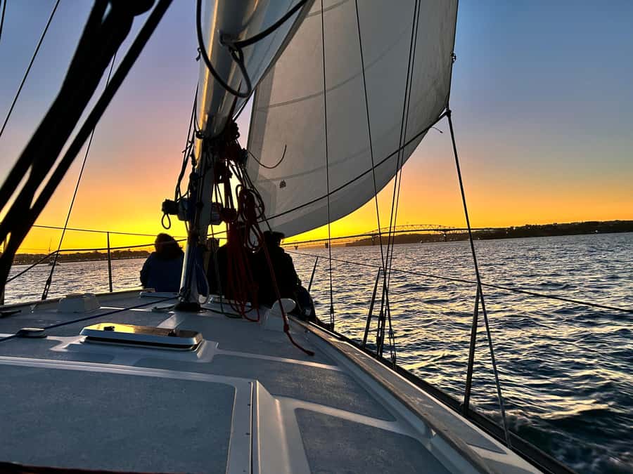 Auckland: Harbour Sailing Cruise with 3-Course Dinner - Canapés and a three-course dinner from The Lula Inn
