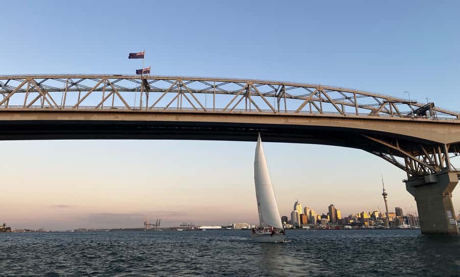 Auckland: Harbour Sailing Cruise with 3-Course Dinner - Local stories with the captain and crew