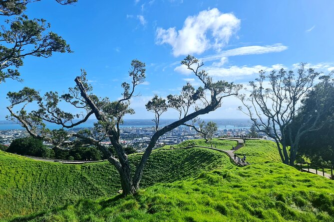 Auckland Hidden Gem Half Day Tour - Auckland Harbour Bridge: a quick city orientation