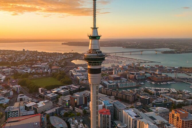 Auckland Highlight Attractions Small Group Tour - Why this half-day Auckland tour works