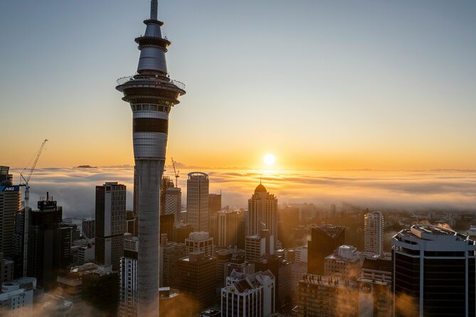 Auckland Highlight Attractions Small Group Tour - Auckland Domain’s Winter Garden and the glasshouses