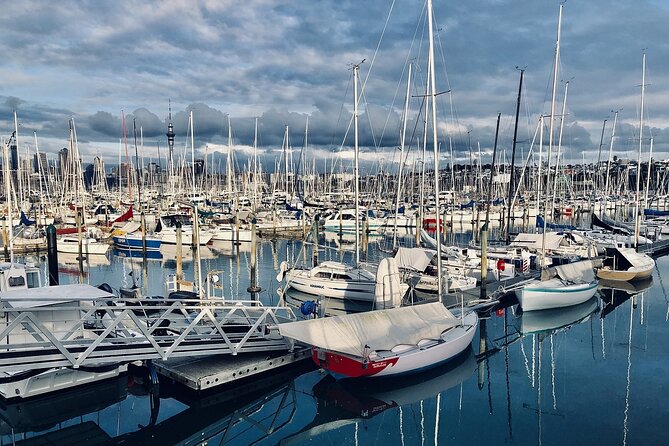Auckland Highlight Attractions Small Group Tour - Mission Bay: a seaside finish
