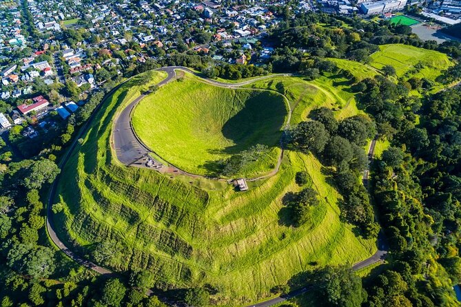 Auckland Highlight Attractions Small Group Tour - Timing, transport, and physical effort