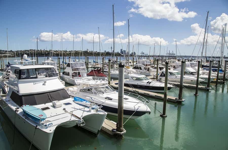 Auckland Highlight Attractions Small Group Tour - Who should book this Auckland tour?