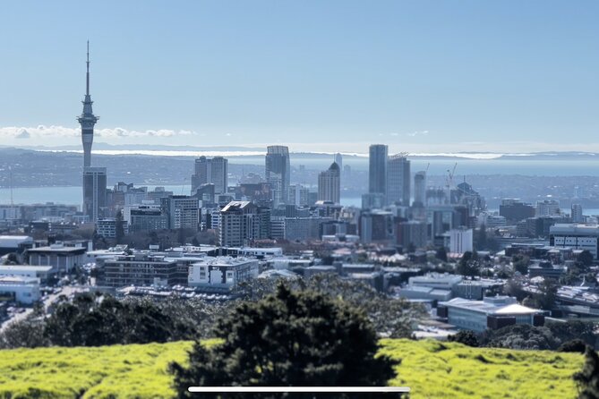 Auckland Highlight Fullday City Tour - The Auckland Museum deserves more than an hour