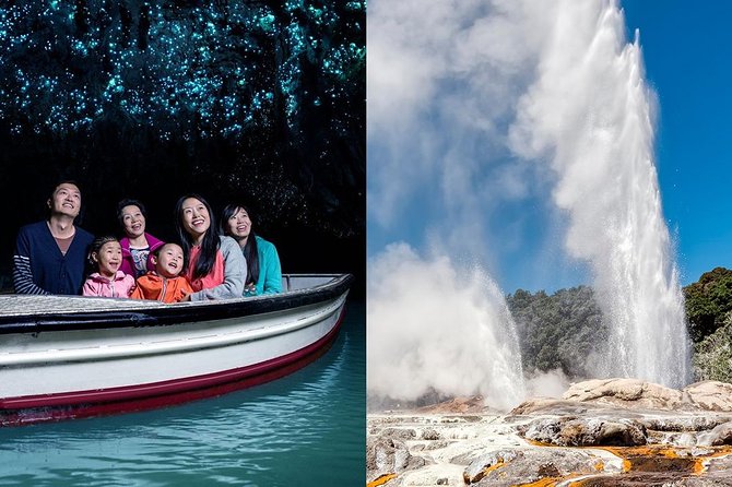 Auckland Highlights 4 Hrs city Tour - What the small vehicle means for you