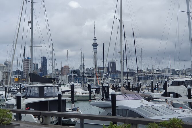 Auckland Highlights Full Day Guided Tour - Westhaven Marina and the Auckland Harbour Bridge